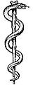 Image 22Rod of Asclepius, in which the snake, through ecdysis, symbolizes healing (from Snake)