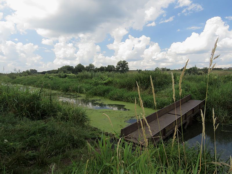 File:Rokach river1.JPG