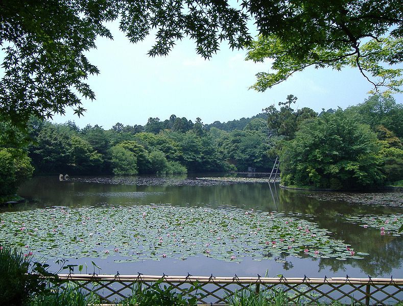 File:Ryoan-ji.JPG