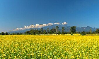 Bhalukpong, Arunachal Pradesh