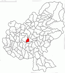 Location in Mureș County