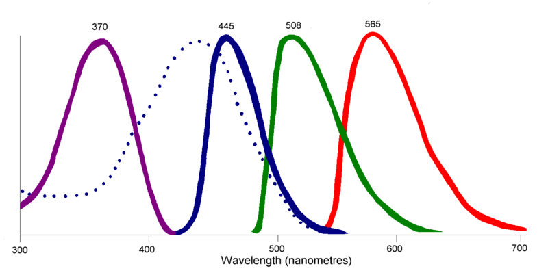 File:Tetrachromaticpigments01.png