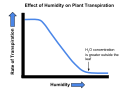 English: The effect of humidity on the transpiration rate of plants. Español: El efecto de la humedad del ambiente sobre la transpiración en las plantas.