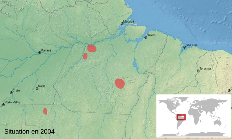 File:Adelphobates castaneoticus map-fr.svg