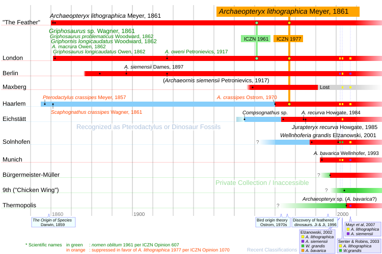 File:Archaeopteryx timeline.svg