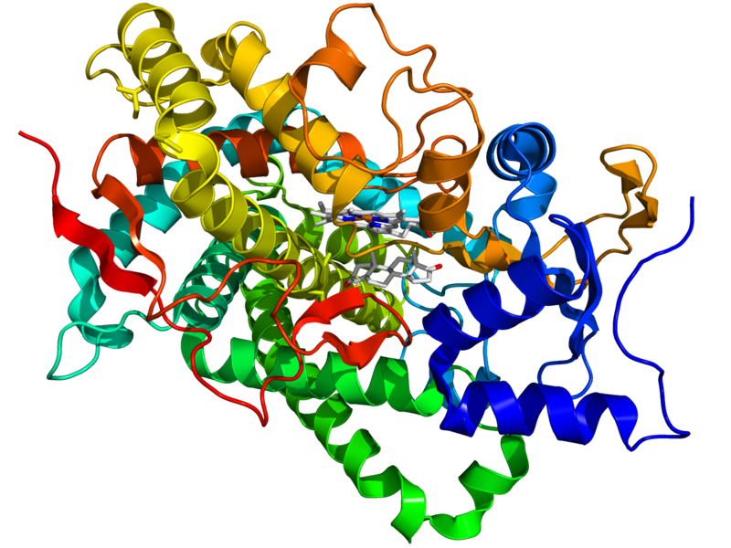 File:Aromatase 3EQM.png