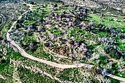 Bayt Thul remains on the Western hill