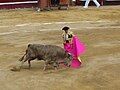 Bullfight in Bogotá, taken 6 February 2005. Used on Bogotá