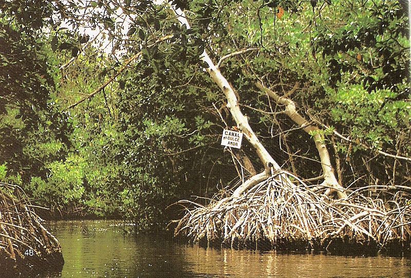 File:Canaldelbesorestinga.jpg