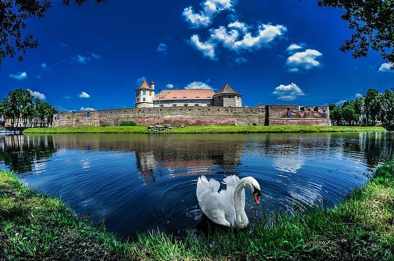 File:Cetatea Făgăraș, August.jpg