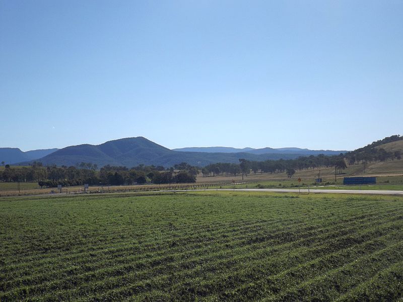 File:Crops at Frazerview.jpg