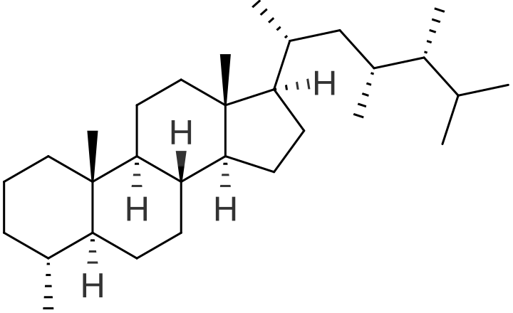 File:Dinosterane.svg