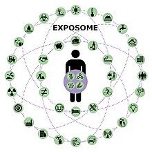 Exposome