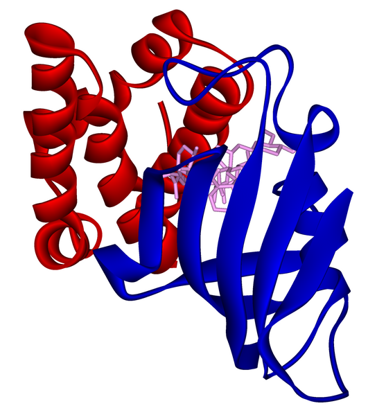 File:FKBP-sirolimus-mTOR complex 1FAP.png