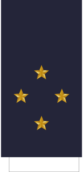 File:France-Airforce-OF-8 Sleeve.svg