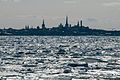 Tallinn Bay at winter