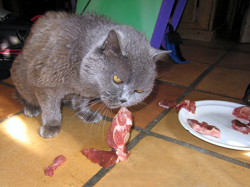 File:Gretel Eating Meat.jpg