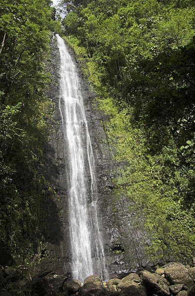 File:Manoa Falls (2006).jpg