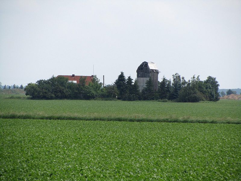 File:Merzien, Windmühle 2.jpg