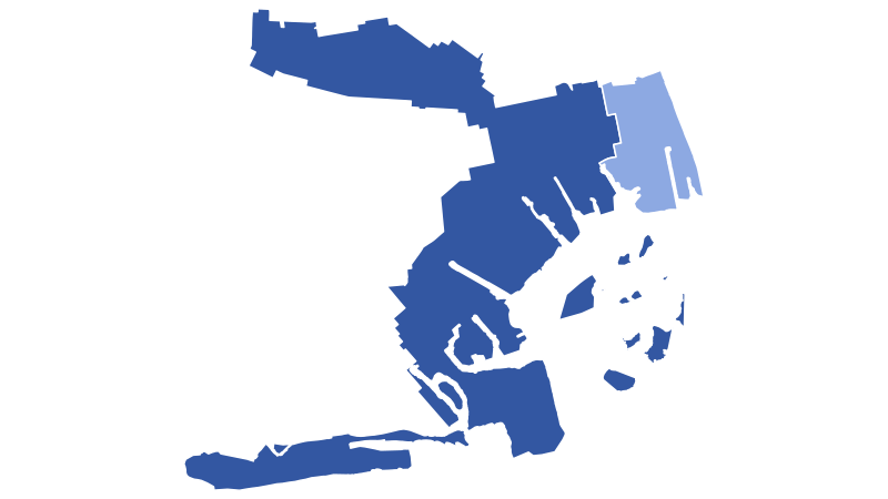 File:NewYorkCongD8(2020).svg