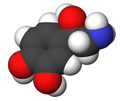 Norepinephrine