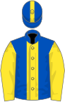 Royal blue, yellow stripe and sleeves, stripe on cap