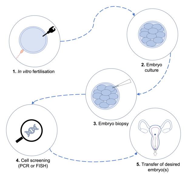 File:PGD process.png