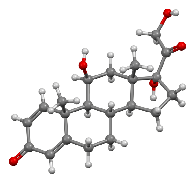 File:Prednisolone-from-xtal-3D-bs-17.png