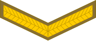 File:SAA-OR-3.svg