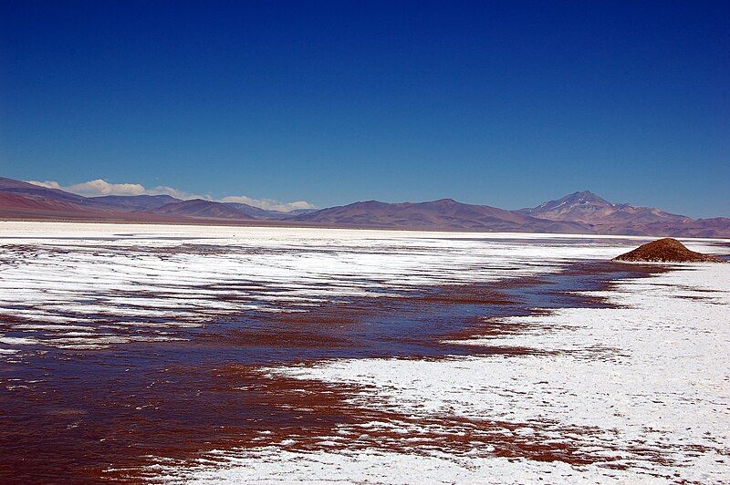 File:Salar Maricunga Atacama.jpg