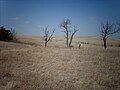 Tallgrass Prairie National Preserve