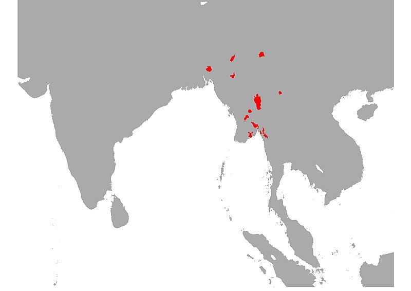 File:Trichogaster labiosa Map.jpg