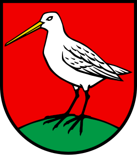 File:Wappen Boniswil.svg