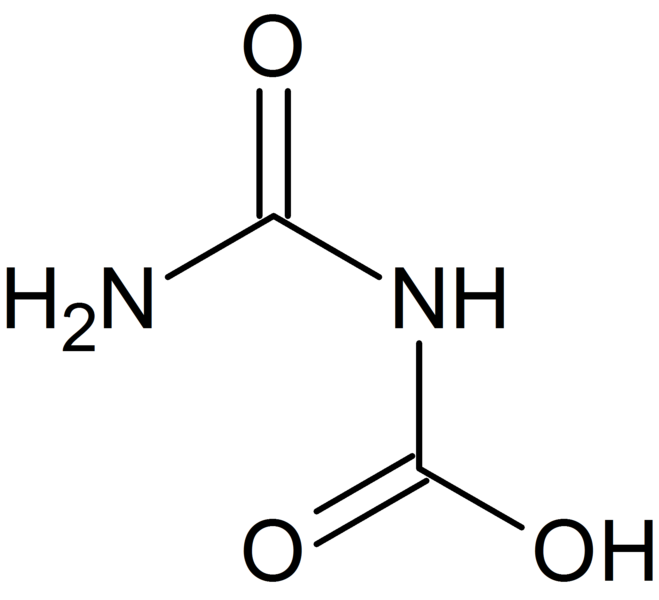 File:Аллофановая кислота.png