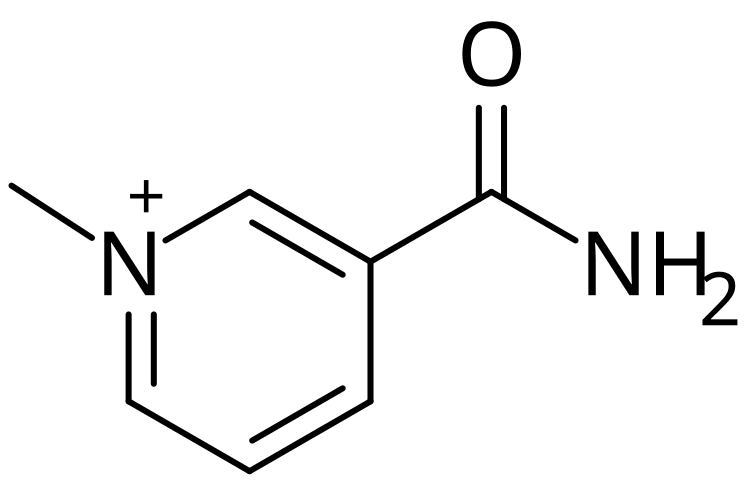 File:1-Methylnicotinamide.svg