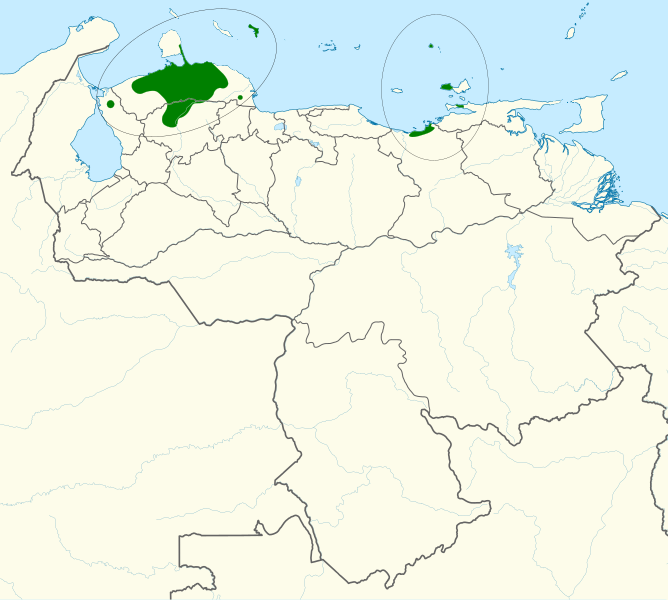 File:Amazona barbadensis map.svg