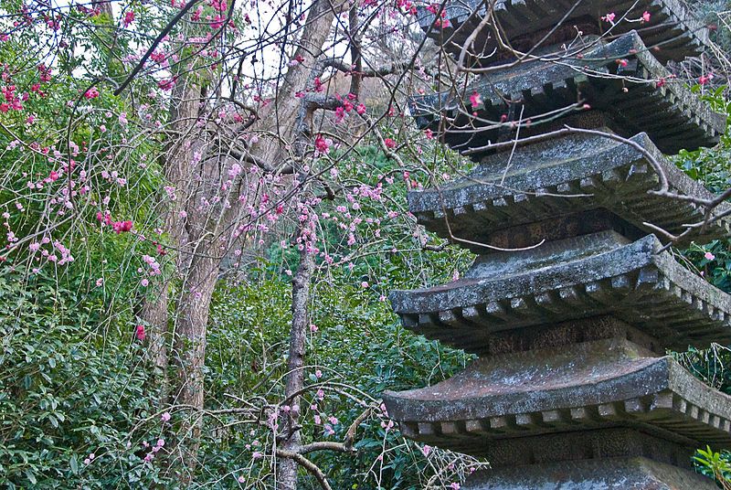 File:Ankokuronji-Garden.jpg