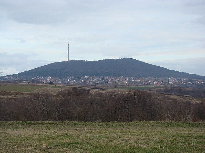 File:Avala2015.JPG