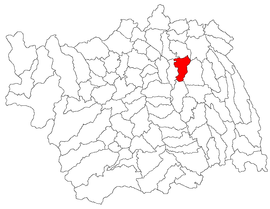 Location in Bacău County