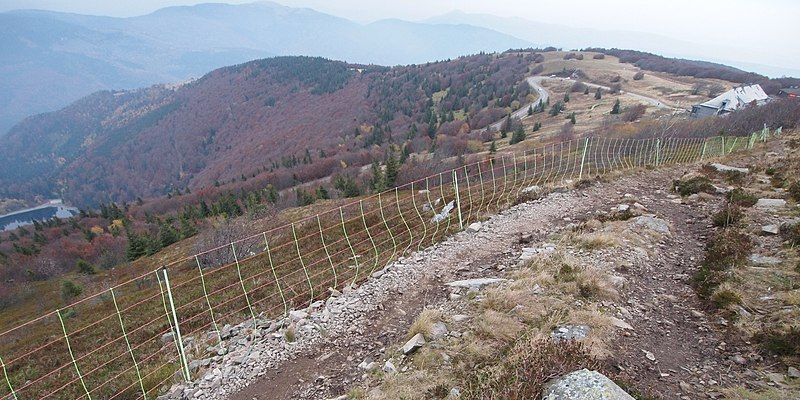 File:Col du Ballon.jpg