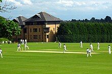 A cricket match in progress, with players in their cricket whites; behind, two modern brick building, three storeys high with dormer windows in the roof; alongside the houses, a hedge running along the side of the pitch, reaching to about the second storey of the houses