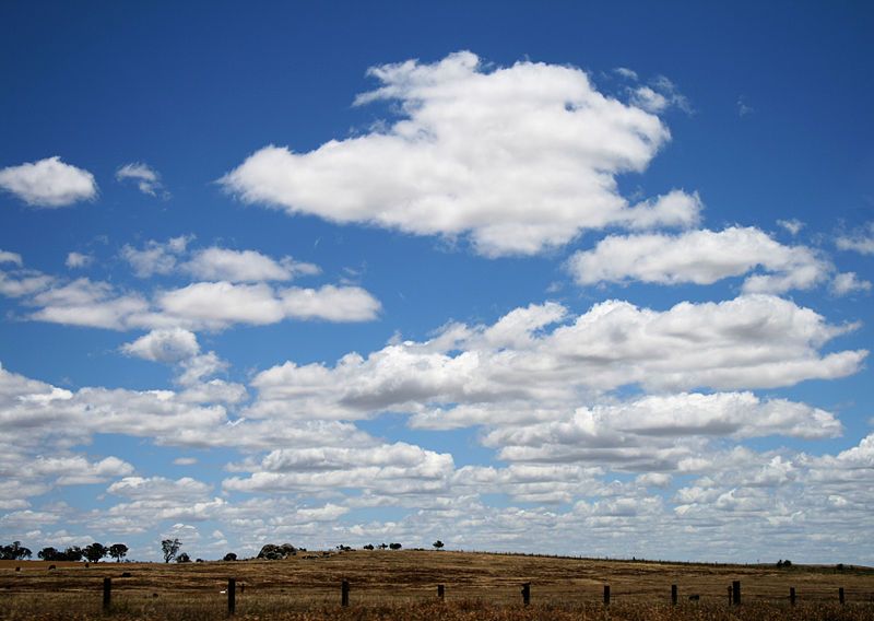 File:Cumulus humilis clouds.jpg