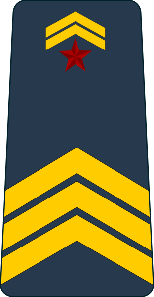 File:Djibouti-Airforce-OR-6.svg