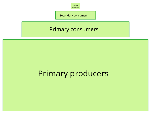 File:Ecological pyramid.svg