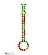 F6: Secondary structure taken from the Rfam database. Family RF01791