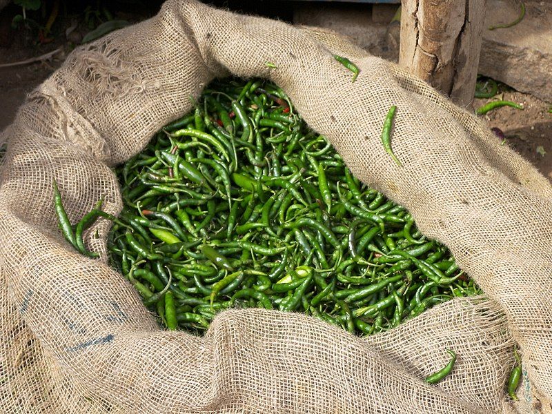 File:Green chillies.jpg