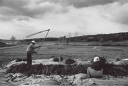 Harvest in Iksan (1986)