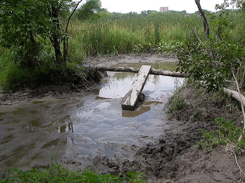 File:Hidden-Beach-Mud-Pit-06.JPG