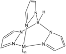 Structure of a metal complex of trispyrazolylborate, an anionic tridentate tripod ligand.[6]