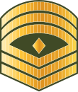 File:Maldives-Army-OR-8.svg